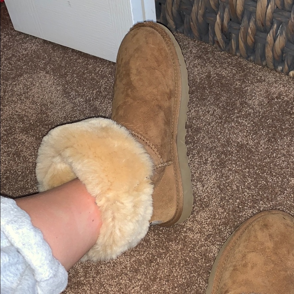 Chestnut tall uggs size 8